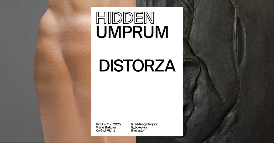 Marie Boková, Kryštof Vícha – Distorza