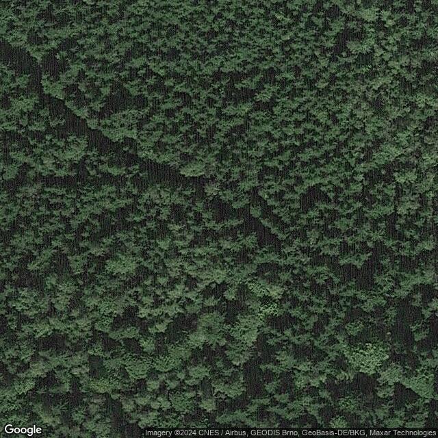 Národní park Šumava 