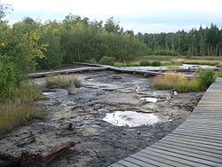  Chebská pánev