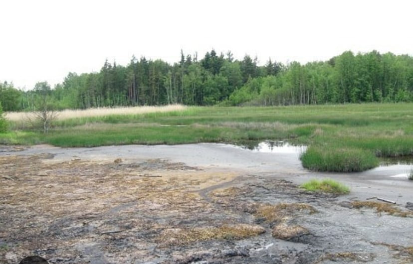 Chebská pánev