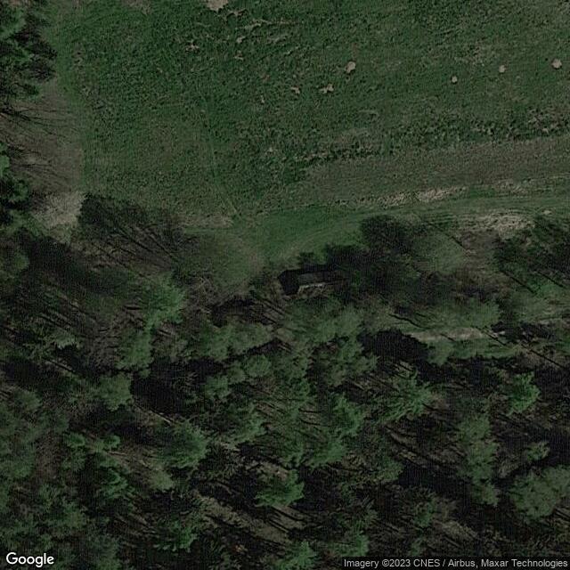 Lesnická chata Lovu Zdar