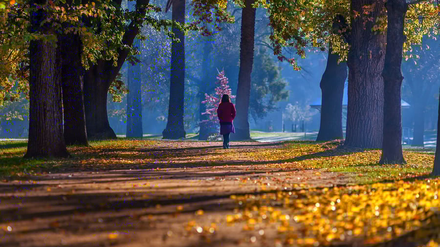 Castlemaine Botanic Gardens