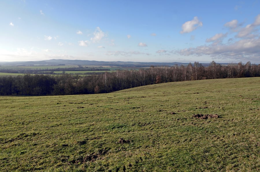 Chebská pánev