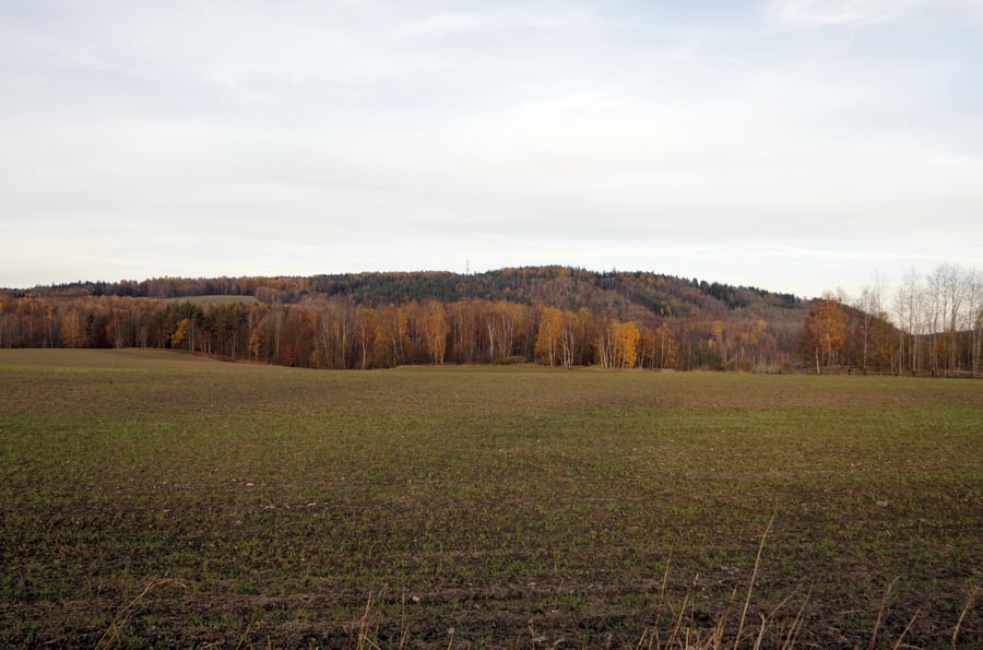 Sokolovská pánev