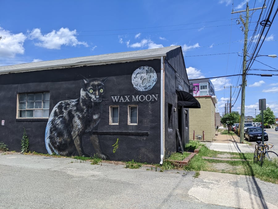 Wax Moon Vinyl and Video