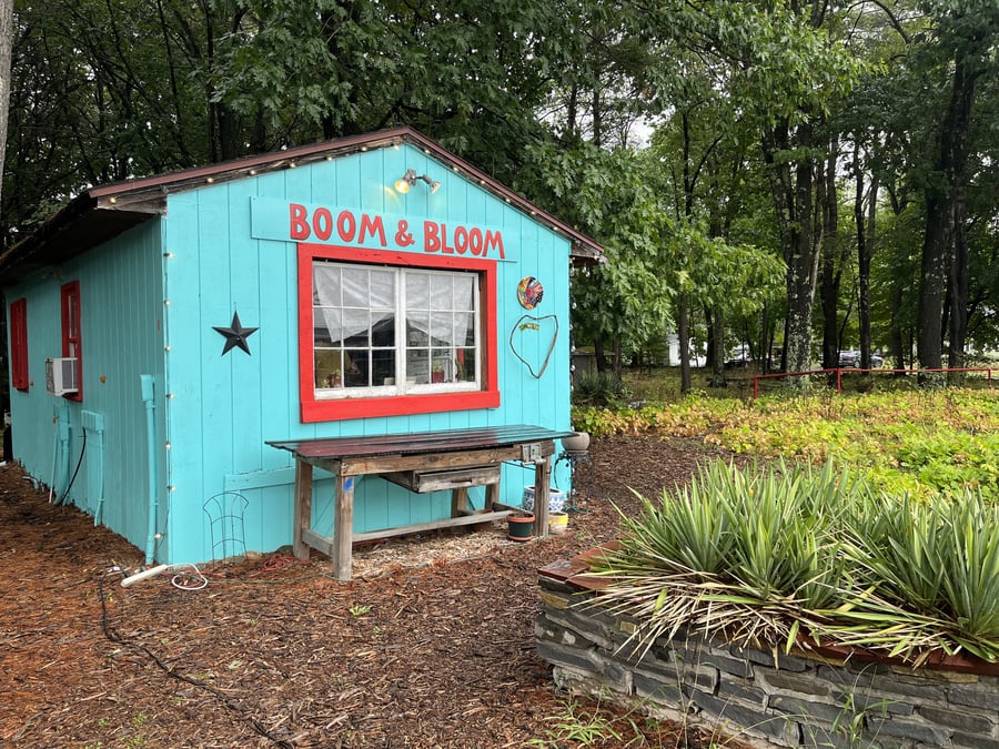 Boom and Bloom Records