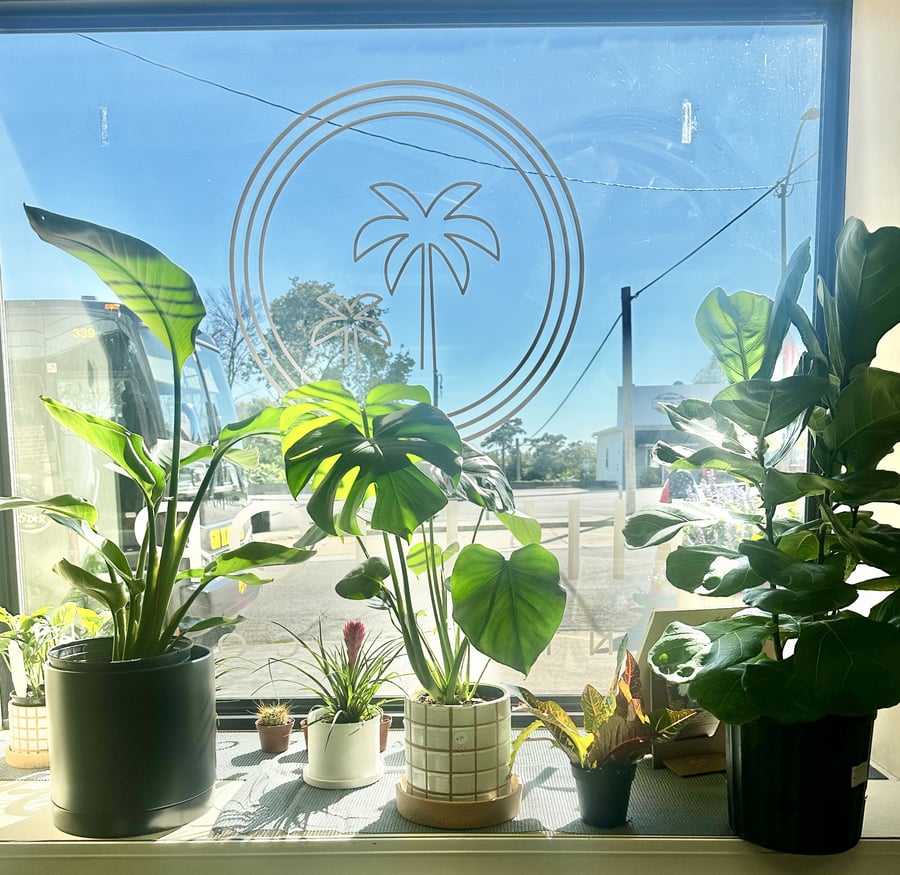 Hilltop Plants and Records