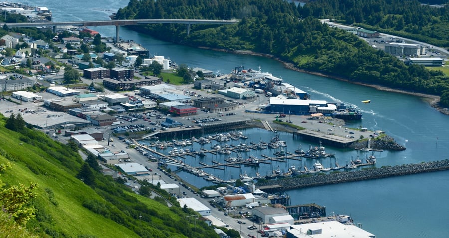 Discover Kodiak