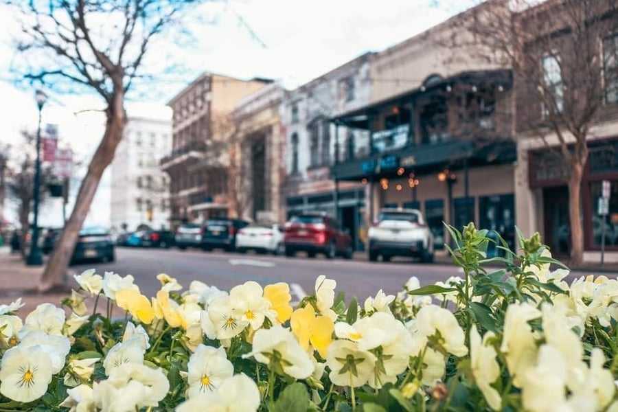 Hattiesburg Tourism Commission