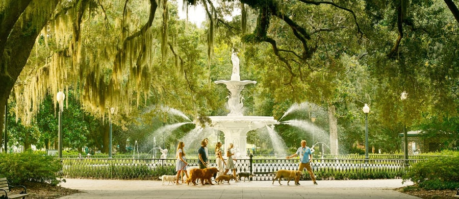 Visit Savannah