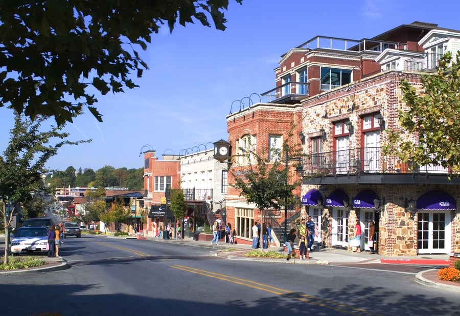 Staff Pick's: Fayetteville, AR