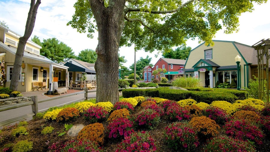 This Is Mystic (Tourism Office)