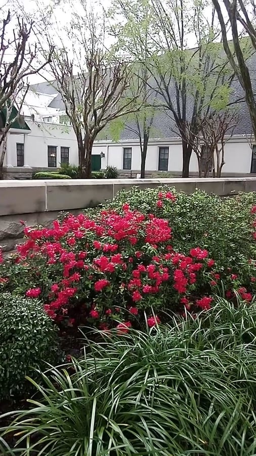 Visit Gainesville, Alachua County