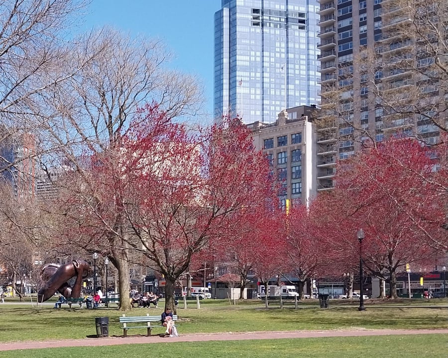 Meet Boston (Tourism Office)