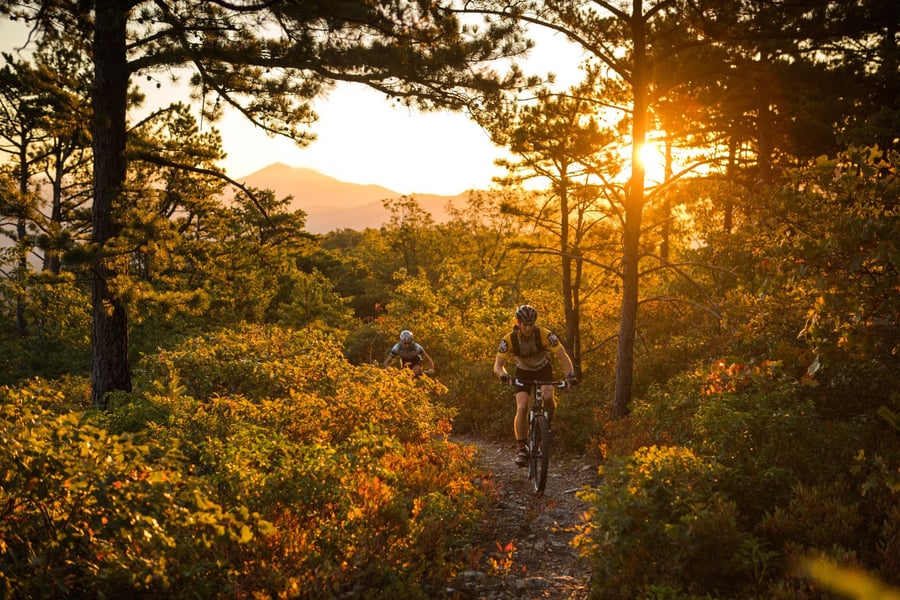 Visit Virginia’s Blue Ridge