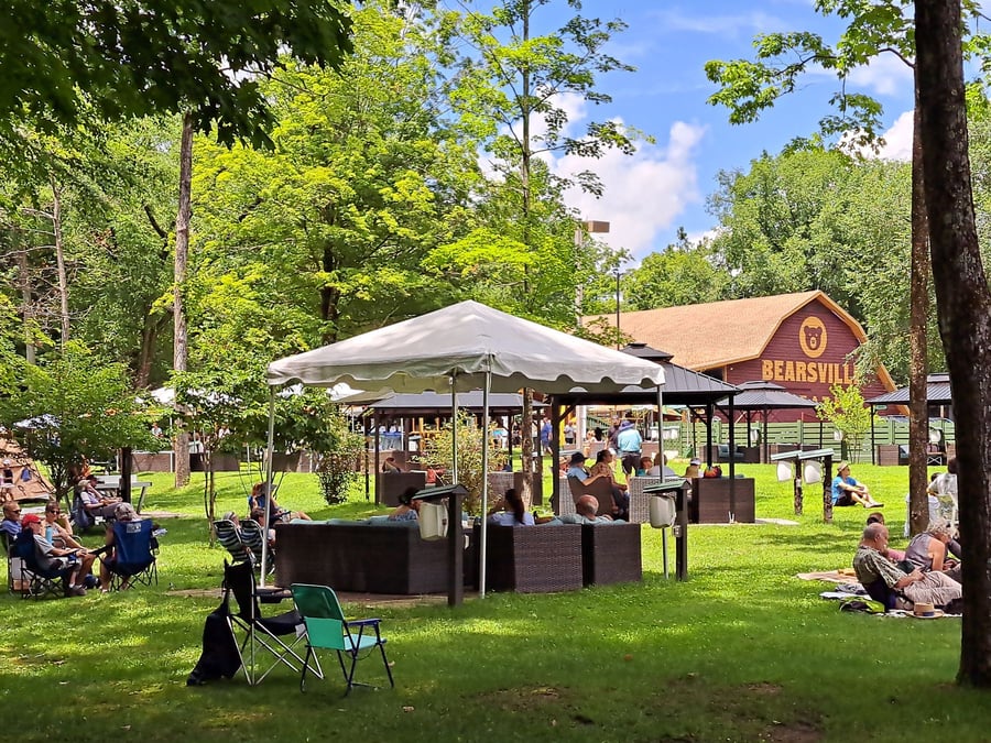 Bearsville Theater ()