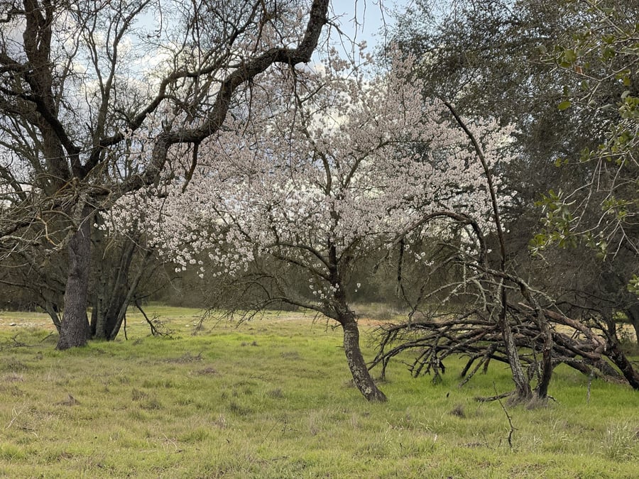 Effie Yeaw Nature Center