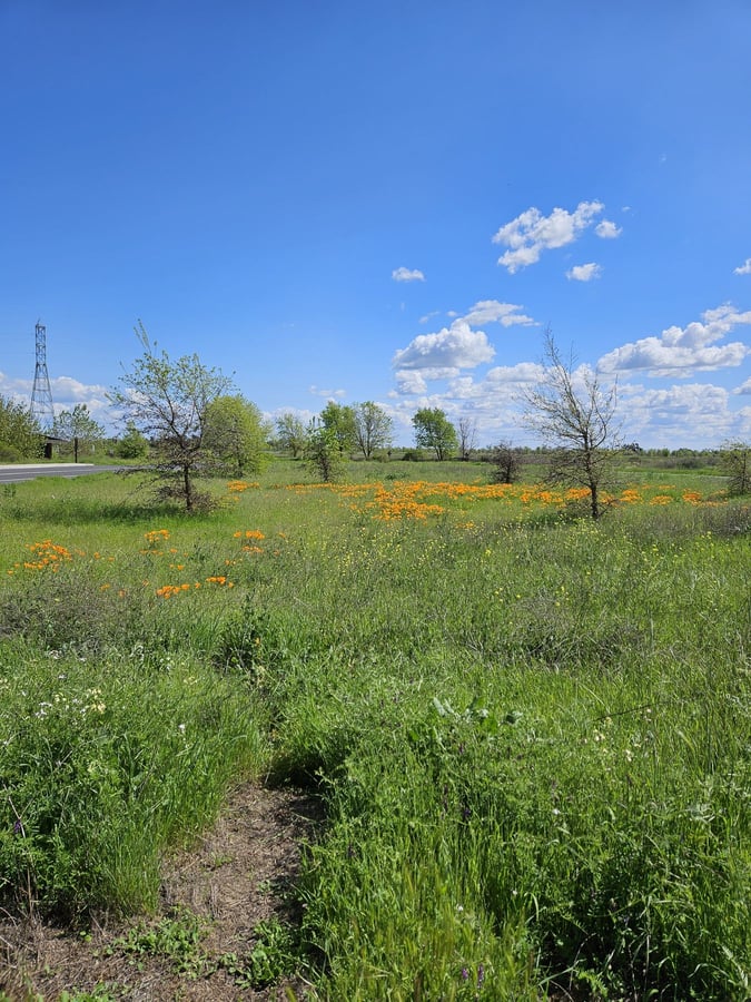 Stone Lakes National Wildlife Refuge - Administration Building and Visitor Contact Station