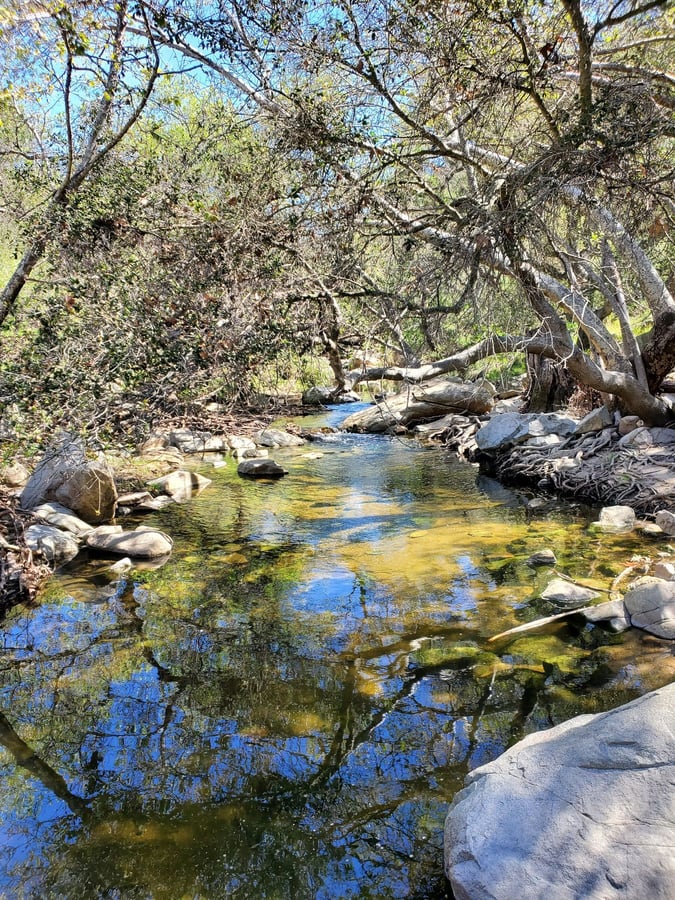 Elfin Forest Interpretive Center