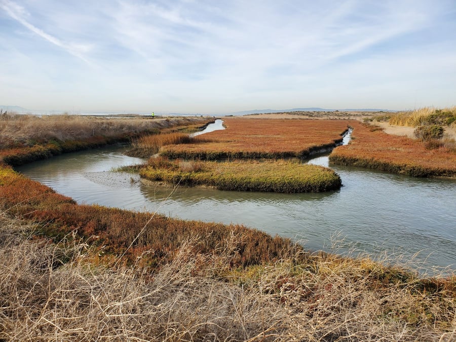 Hayward Shoreline Interpretive Center