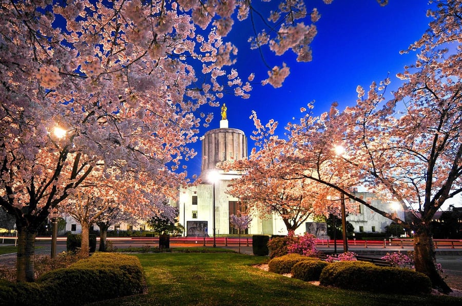 Travel Salem Visitor Center