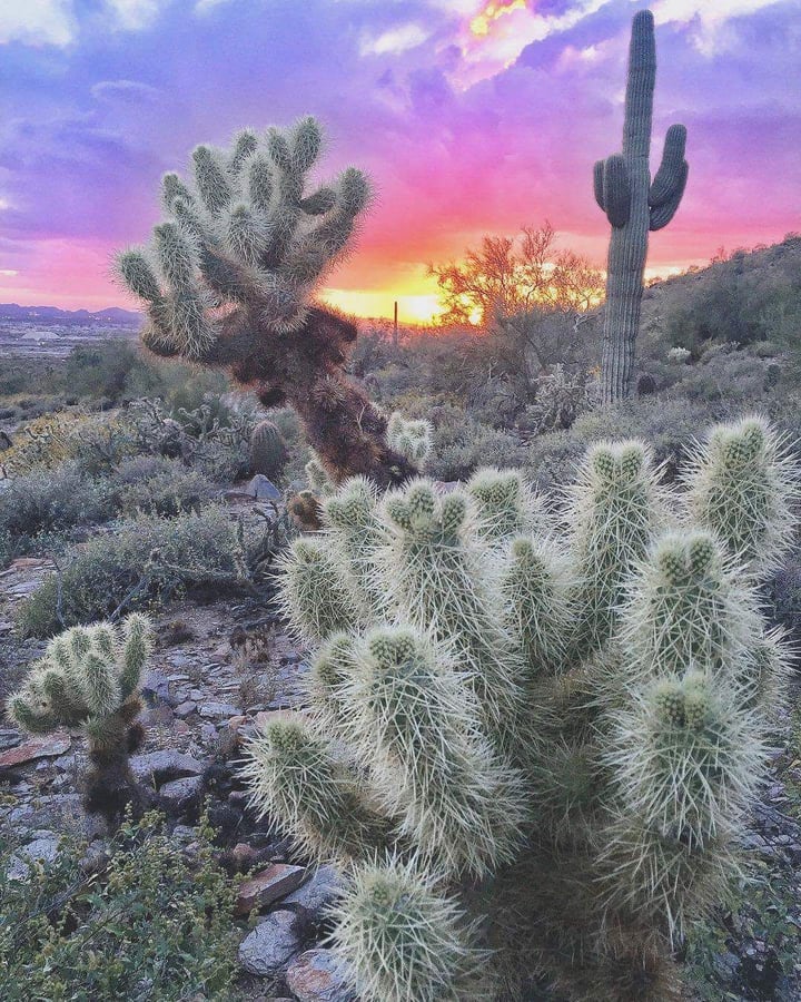 Experience Scottsdale