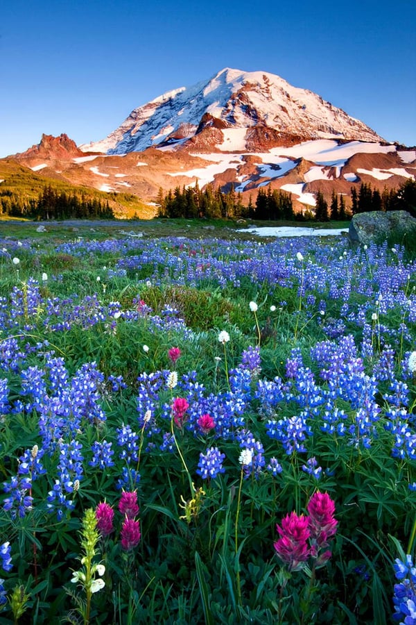 Visit Tacoma-Pierce County Visitor Information Center