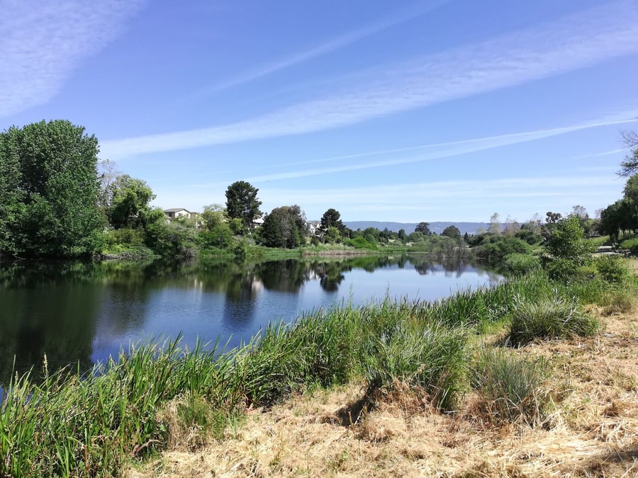 City of Watsonville Nature Center