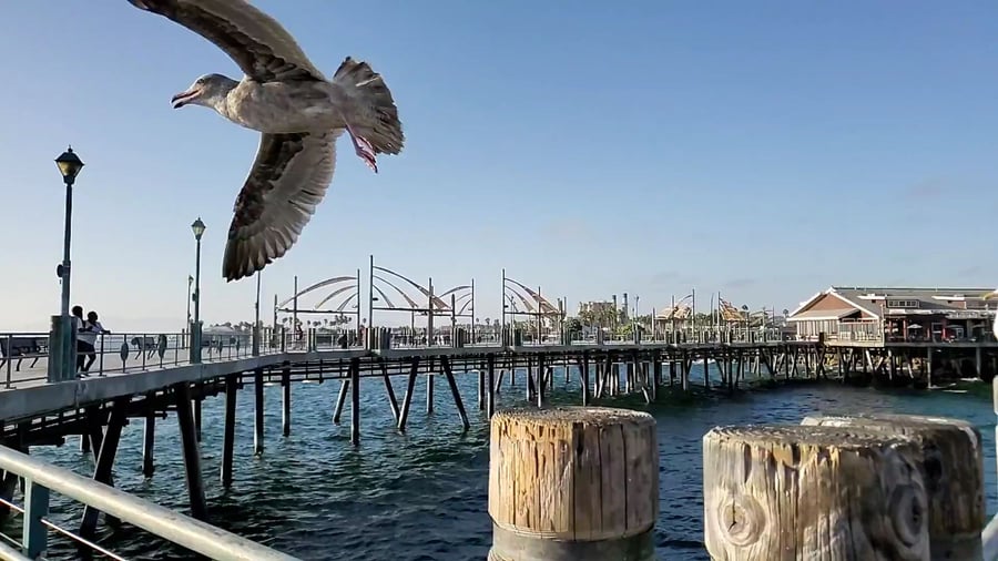 Redondo Beach Tourism
