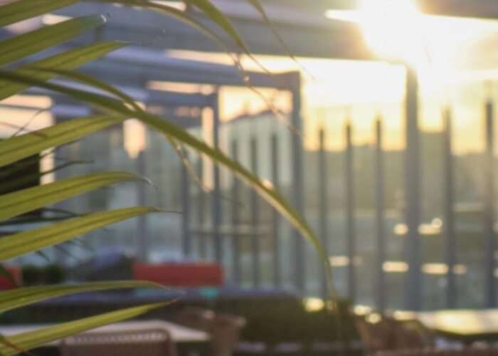 Sunset Social at High Stakes Rooftop Grill