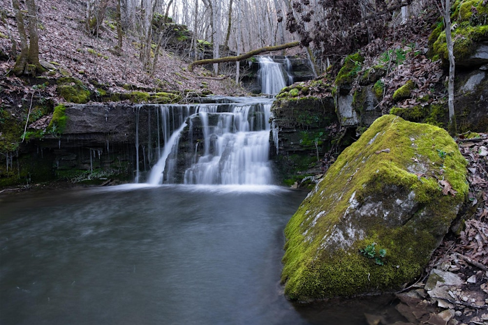 Post-Thanksgiving Hike