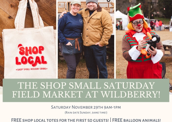 Shop Small Saturday Field Market at Wildberry