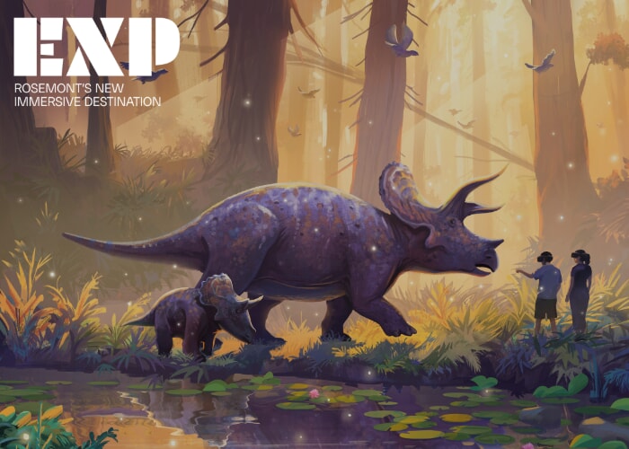 EXP Presents Life Chronicles