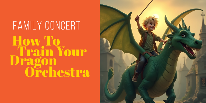 How to Train Your Dragon Orchestra