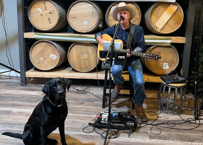 Live Music, Wine, Dogs