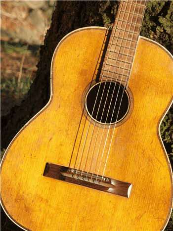 Akoostik Moose Alive!!