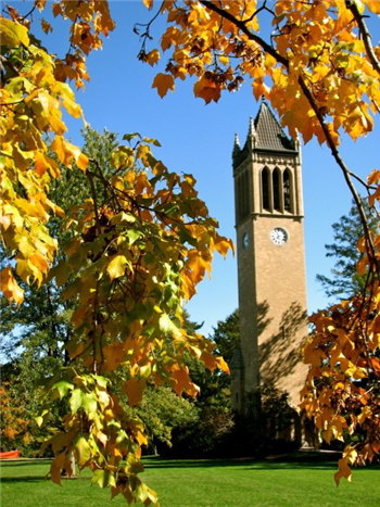 Yuletide 2025: Winterfest Open House