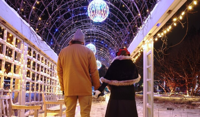 Adults' Night Out at Winter Lights