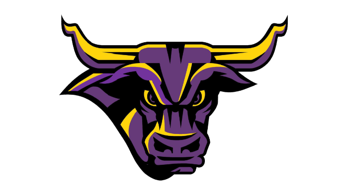 Minnesota State Maverick Men's Hockey vs. Ferris State University