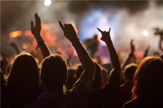 FREE FALLIN The Tom Petty Concert Experience / OUR HOUSE Tribute To Crosby, Stills, Nash, & Young