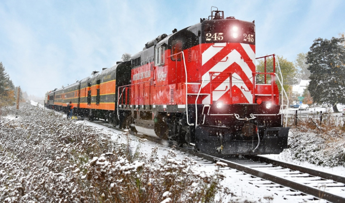 Christmas Tree Train