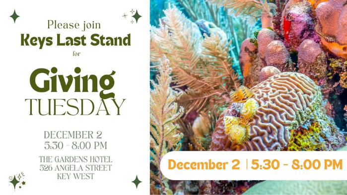 Giving Tuesday with Last Stand