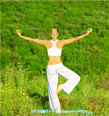 Ash and Mica Host Bootcamp