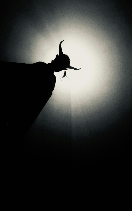 Dec. 13th Krampus Christmas Tour at Churchill School