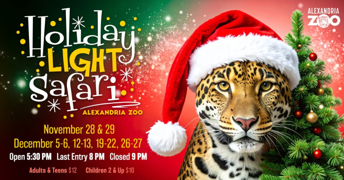 Holiday Light Safari