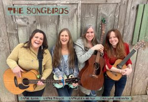 The Songbirds of Cape Cod