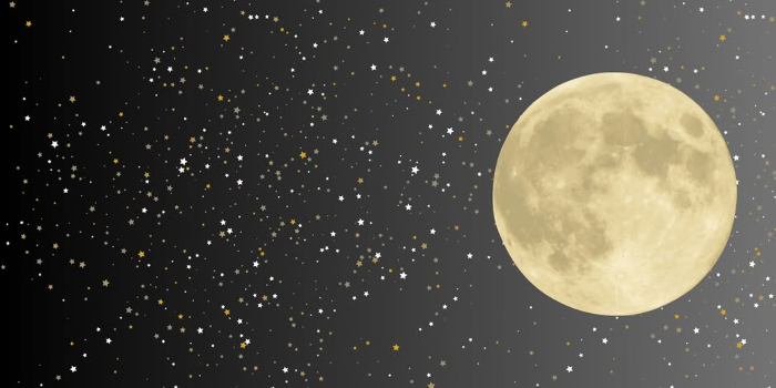 Moonlight: Adult Night at the Museums