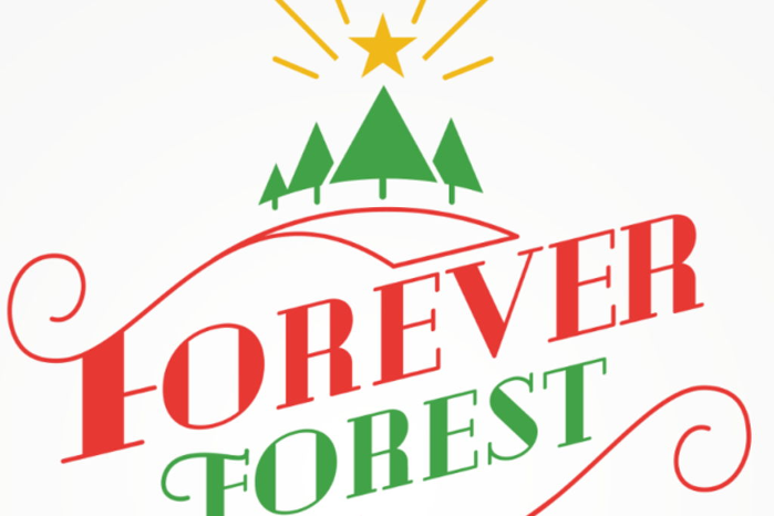 Forever Forest 2025 Christmas Holiday Experience