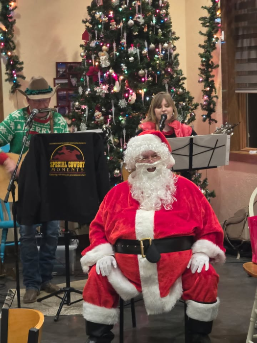 Christmas at Fluffy Fields