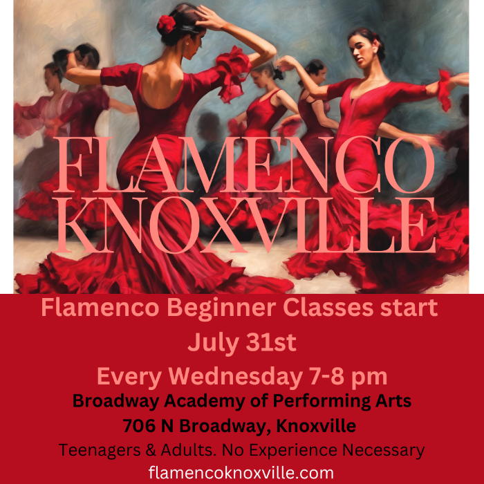 Flamenco Dance Classes